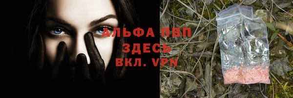 стаф Дмитриев