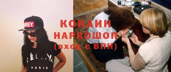 стаф Дмитриев