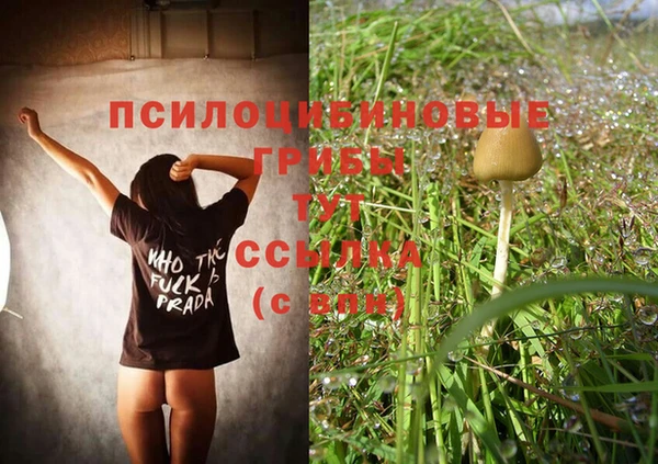 стаф Дмитриев