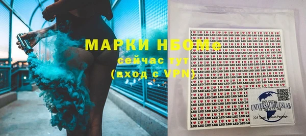 стаф Дмитриев