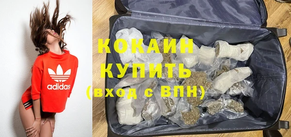 стаф Дмитриев